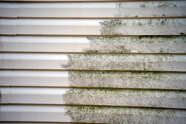 Best Custom Trim and Detailing for Siding  in Clinton, WA